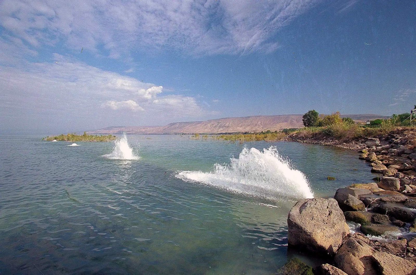 Licensed tour guides for Tiberias and the Galilee, Israel